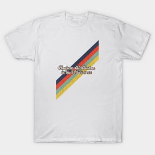 retro vintage color Andrew McMahon in the Wilderness T-Shirt